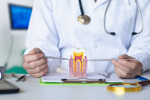 Best Dental Abscess Treatment in Evergreen, MT